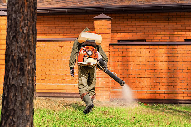 Bed Bug Clearance Verification and Documentation in Oldsmar
